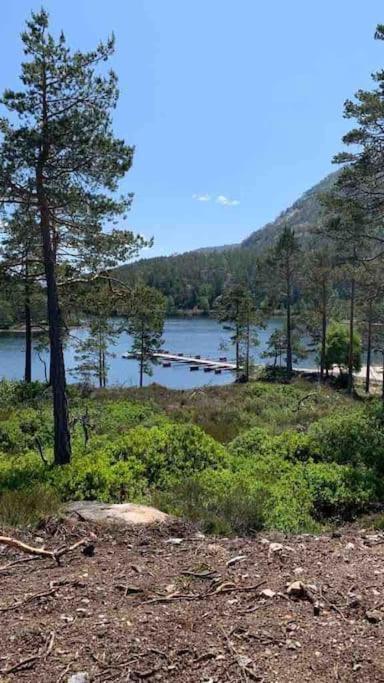 Cosy Cabin Between Lake And Mountain Treungen Eksteriør billede
